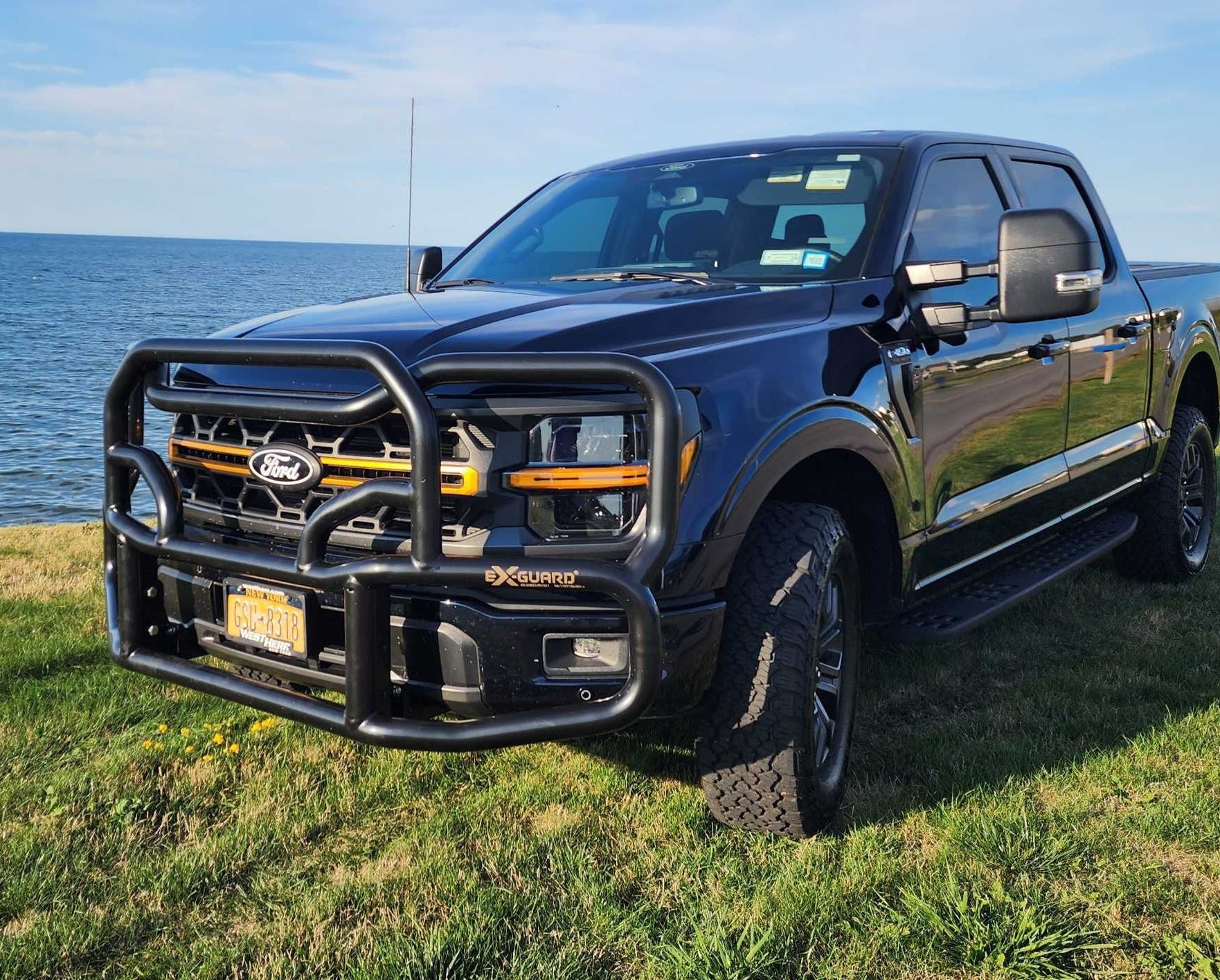 Black Ford truck with a front bumper guard parked on grass near water