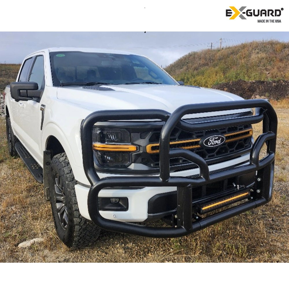White Ford truck with a black grille and bumper in an outdoor setting
