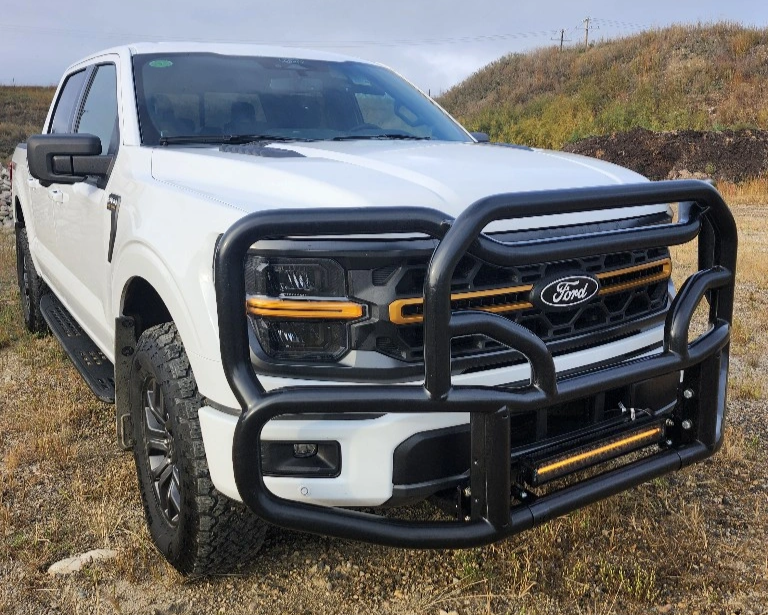 White Ford truck with a black grille and bumper in an outdoor setting