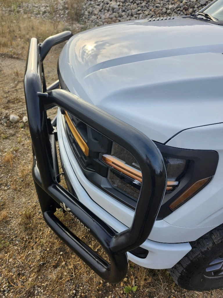 Protector de rejilla para camioneta Ford® F-150® '21 y posteriores de Ex-Guard® y kit de soporte