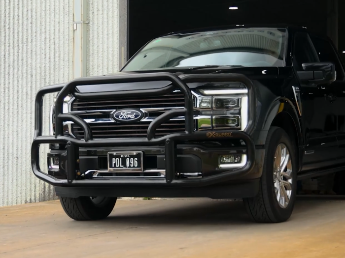 Grille Guard for Ford® F-150® '21-Newer Pickup by Ex-Guard® & Bracket Kit